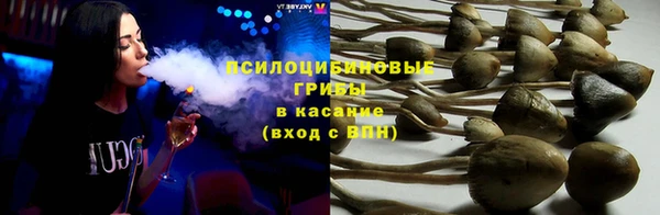 2c-b Новозыбков
