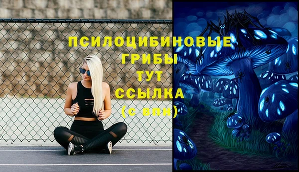синтетический гашиш Абинск