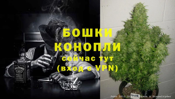 2c-b Новозыбков